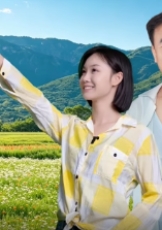 逆风草