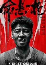命悬一枪四川话