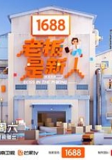 老板是新人