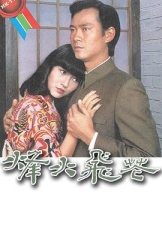 烽火飞花