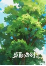 盛夏的告别