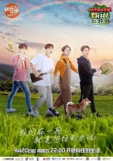 向往的生活独享版 第2季