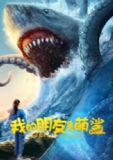 我的朋友是萌鲨