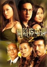 情陷夜中环2粤语