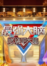 最强大脑 第十三季