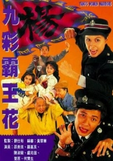 九彩霸王花粤语