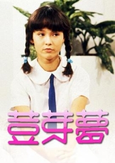 豆芽梦1981
