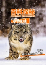 科探秘动物星球：高山上的白色精灵雪豹