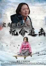 宝贝回家之玩命追击