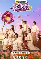 一路繁花2