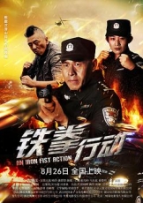 铁拳行动