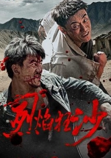 烈焰狂沙