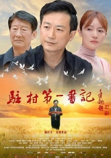 驻村第一书记
