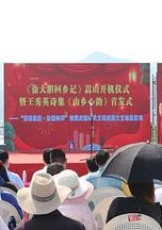 徐大胆回乡记